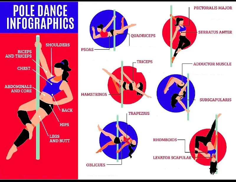pole dance infographics